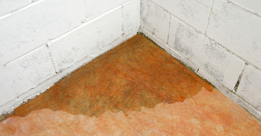 Sol humide en intérieur : comprendre les causes et trouver des solutions